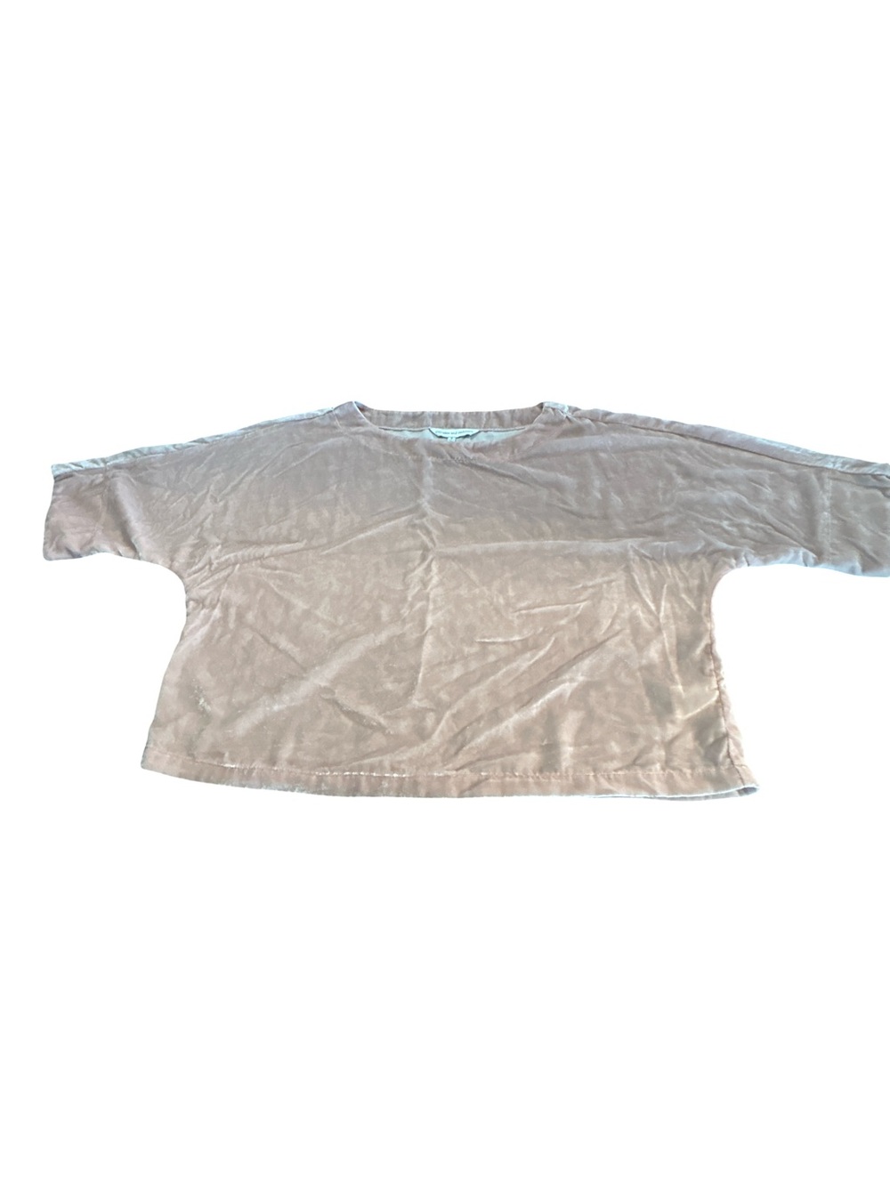 Cupcakes and Cashmere Blush Pink Crushed Velvet Boxy Top S Soft Girl Y2K Glam